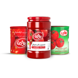 گروه رب روژین